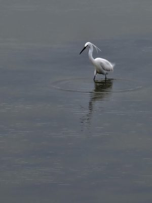 2023-04-samsungS20-noirmoutier